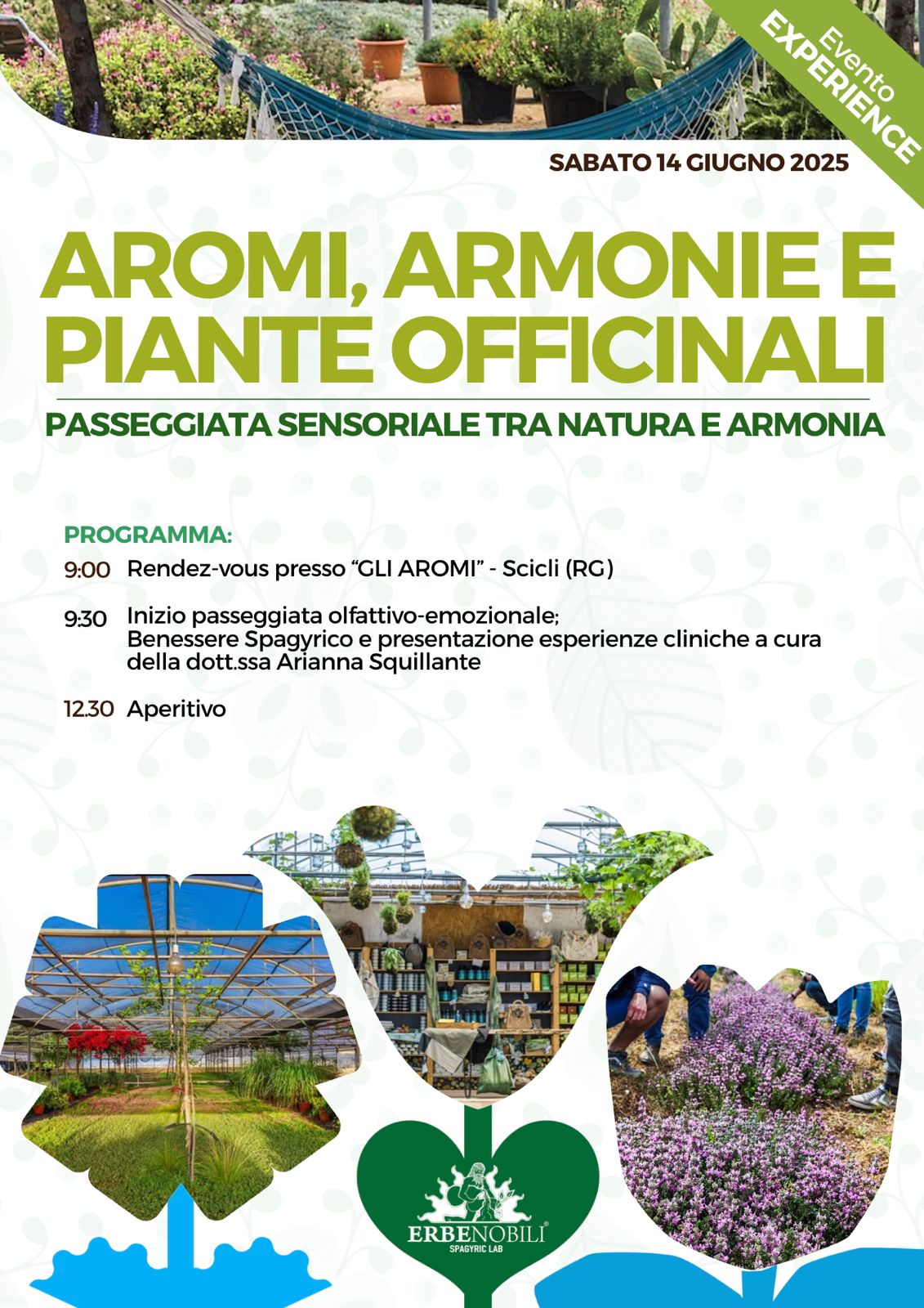 AROMI, ARMONIE E PIANTE OFFICINALI