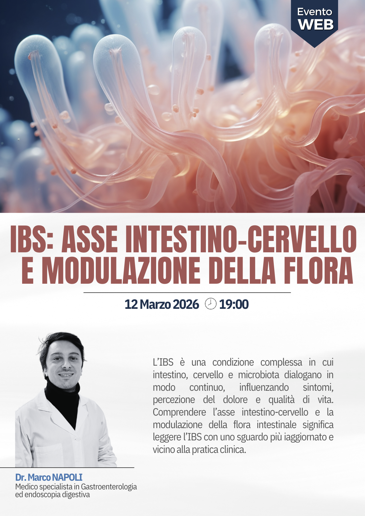 IBS: asse intestino-cervello e modulazione della flora