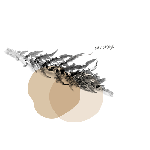 CARCIOFO