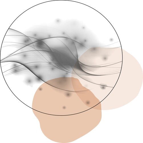 SNS TED - GUSTO MISTO (ARANCIA o BANANA)