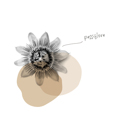 PASSIFLORA