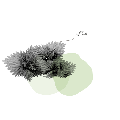 EPIDERMAVIN