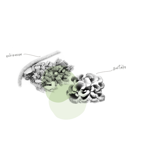 IMMUNVIN