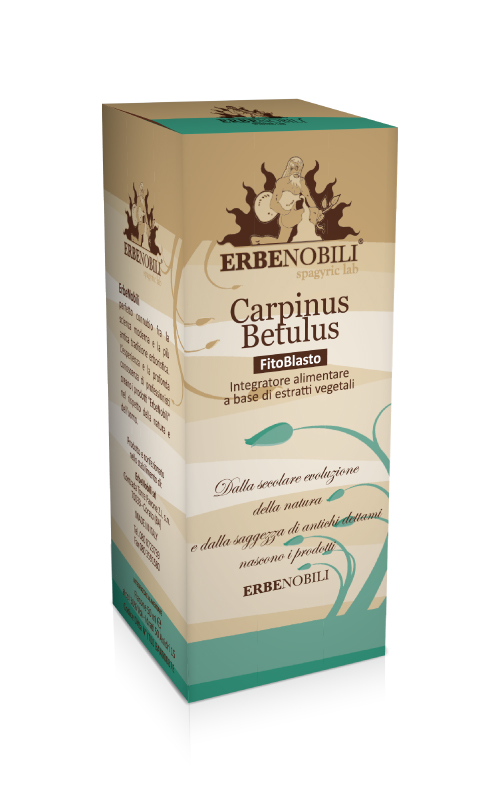 CARPINUS BETULUS