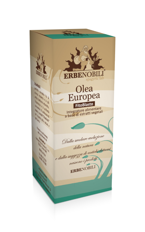 OLEA EUROPEA