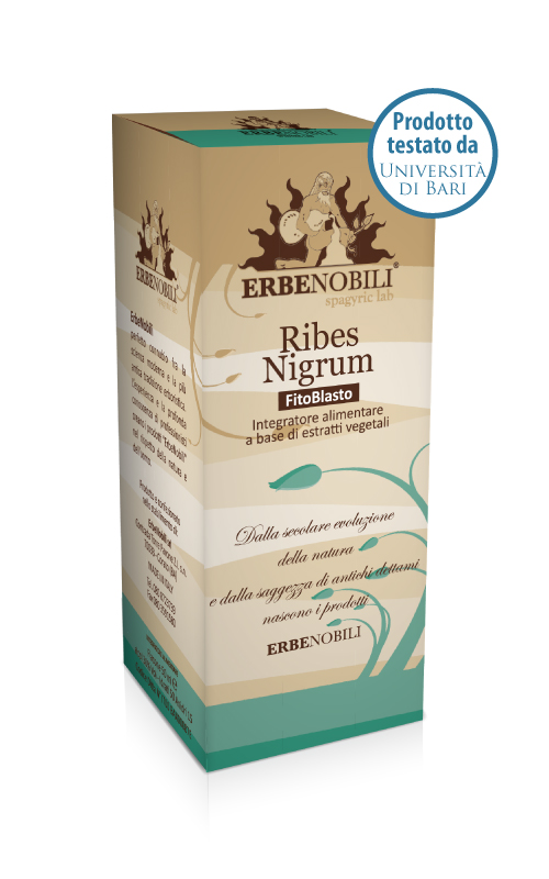 RIBES NIGRUM